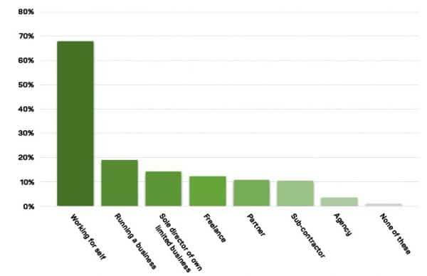 Bar chart showing the types of self-employed individuals in the UK