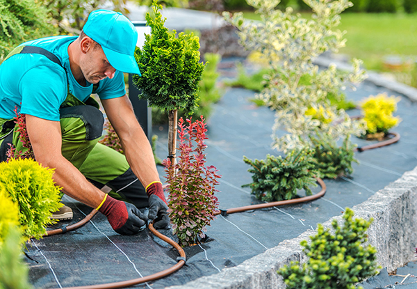 gardener insurance intro image