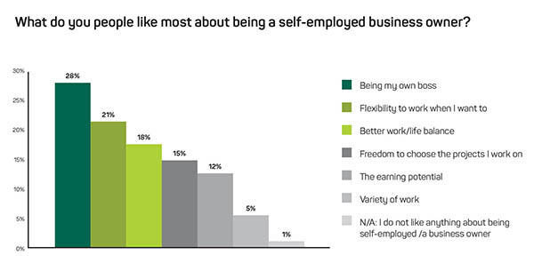 Chart showing why people like being self employed