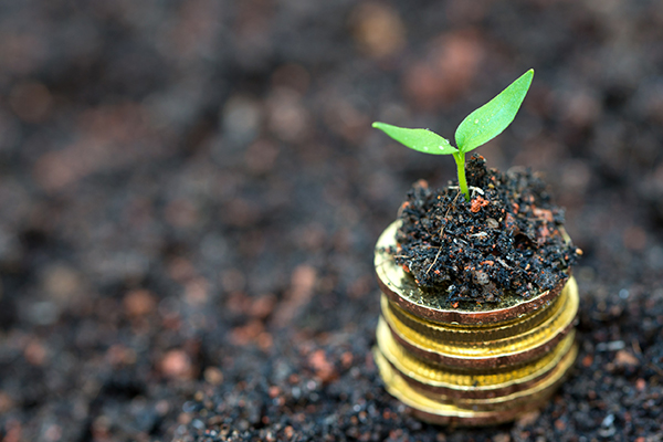 what is seed funding? Seed funding explained for small business owners